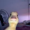 mafwak0