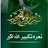 nasirbutt1736