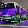 enzo45leopardito_yt