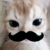 ashleywajajaj