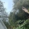 ravenspur2
