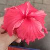 dea.suciana0