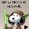 felipe.ignacio.ol67