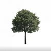reforestourfuture