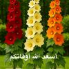 user77480300098564
