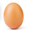 iamnester2