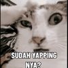 akunbarunya3