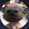 thzin_xzth
