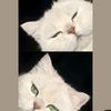 hamda2685