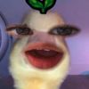 jame_zyy1
