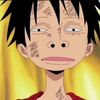 nobrainluffy