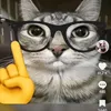 naahil532
