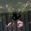 electrozaun0