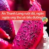 phat6641