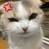hetmuoniu2