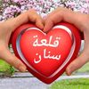 user4073791224285
