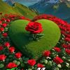 rahmanlatif24