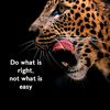dont.trust143