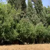 dlakam7656