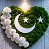 farhan.ali.12345676