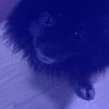 pimmy_.027