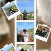 lit_ap2