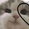 meoko_kira