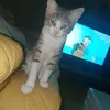 monbienleplusprecieux