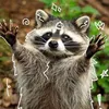 racconboy3