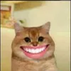 Tôi ổn 🙂