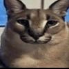 sing_gaming