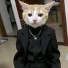 the.king.of.empir5