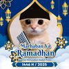 alif_maulana_204795