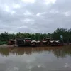 mi.em.nguyn.vn0