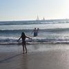 savannah_d2008