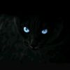 user46209110179148
