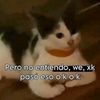 maribel.lopes10