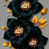 mohammad.forhad.a3