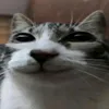 the_nugget89