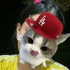 oanh5549