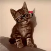 emily11_here