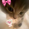 zahirah_265