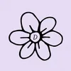 daisyshopne