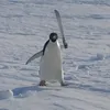 chiuchet90