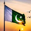 muhammad.kamran7863