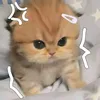 akzel.jaira.escro