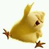 sayat.saukenov7