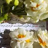 qaharsurchiy0