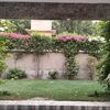 aisha.khan332