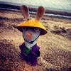 plasticwhisp1